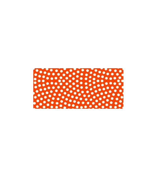 Washi tape (masking tape) samekomon kaki