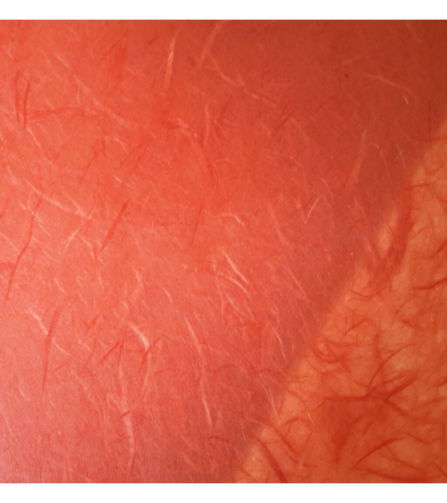 Reddish orange Unryu paper black