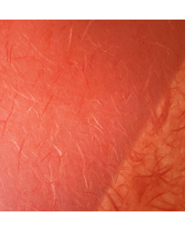 Reddish orange Unryu paper black