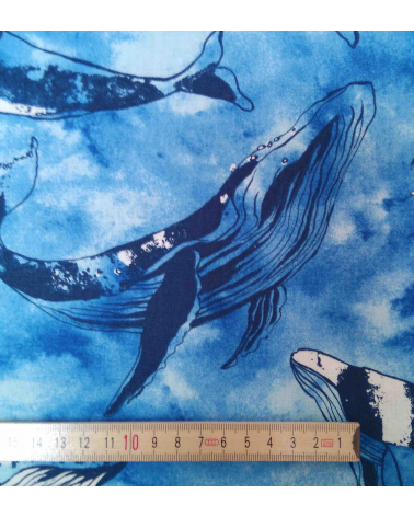 Loneta de ballenas