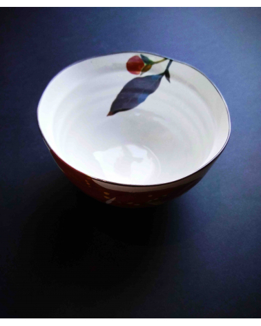 Set de 5 bowls "hana"