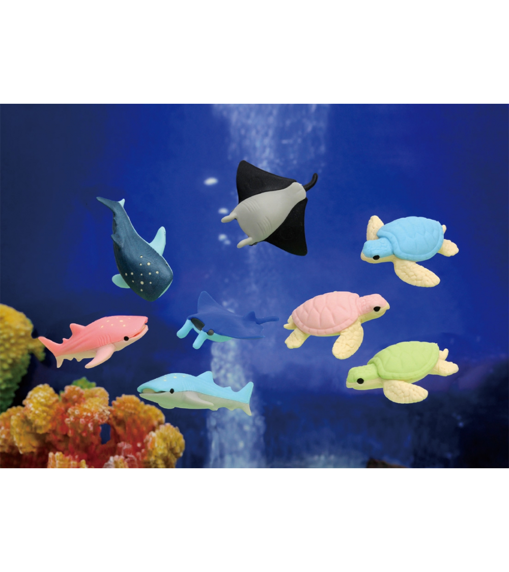 Conjunto 3 gomas IWAKO "Acuario"