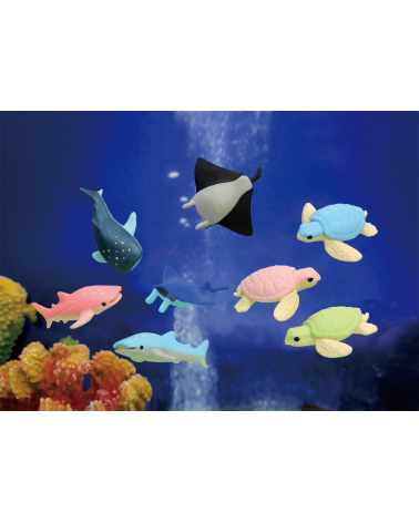 Conjunto 3 gomas IWAKO "Acuario"