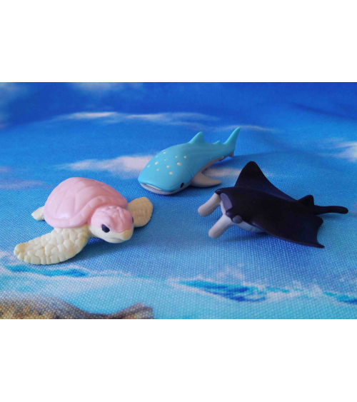 Conjunto 3 gomas IWAKO "Acuario"