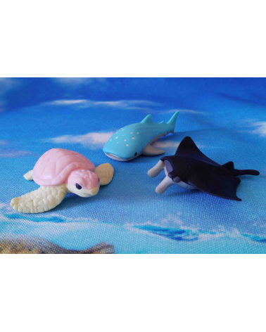 Conjunto 3 gomas IWAKO "Acuario"