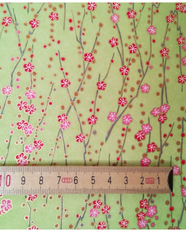 Chiyogami japonés de flores rojas y rosas sobre verde claro