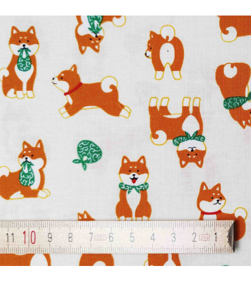 Tela japonesa Shiba Inu marfil.