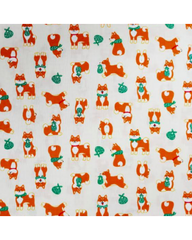 Tela japonesa Shiba Inu marfil.