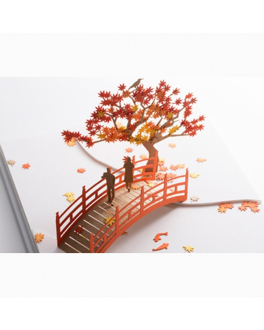 Modelo a escala 1/100 "Momiji"