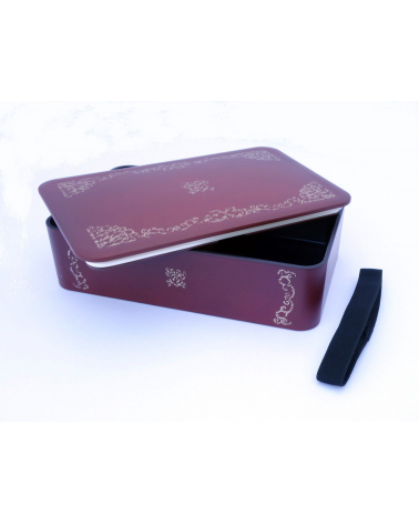 Bento box (Lunch box) libro antiguo