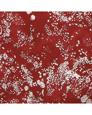 Japanese fabric NANI IRO by Naomi Ito in cotton-silk. 'Lei Nani' in deep red