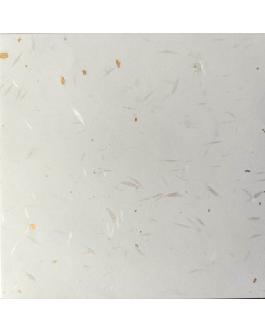 Japanese washi paper AWAGAMI with golden sparkles. 10 sheets.