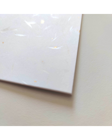 Japanese washi paper AWAGAMI with golden sparkles. 10 sheets.