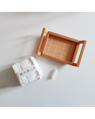 Kit DIY Postales washi de AWAGAMI "Kami no moto"